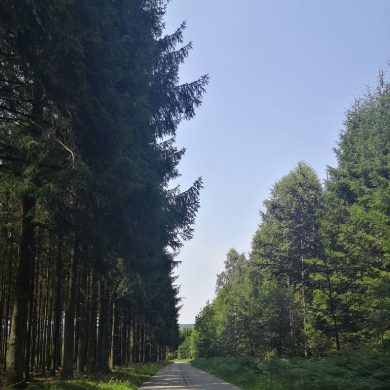 IMG 20190725 123050 - Scouts en Gidsen Zaventem 